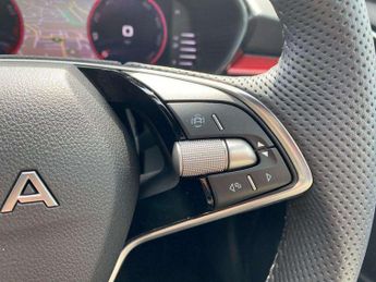 Skoda Fabia 1.0 TSI 116 Monte Carlo Edition 5dr DSG