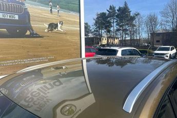 Skoda Kodiaq 1.5 TSI e-TEC SE L 5dr DSG [7 Seat]