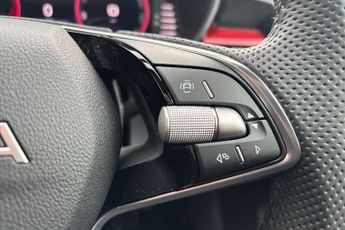Skoda Fabia 1.5 TSI 150 Monte Carlo Edition 5dr DSG