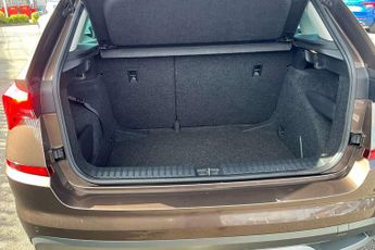 Skoda Kamiq 1.0 TSI 110 SE L 5dr DSG