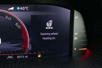 Skoda Fabia 1.5 TSI 150 Monte Carlo Edition 5dr DSG