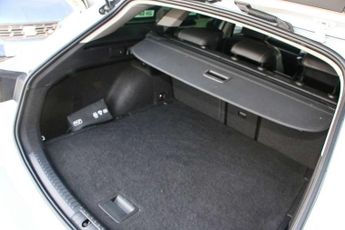 Cupra Leon Estate 1.5 eTSI V1 5dr DSG