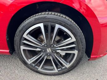 SEAT Ibiza 1.0 TSI 115 Xcellence Lux 5dr DSG