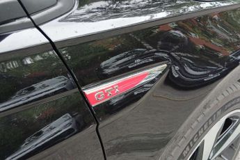 Volkswagen Polo 2.0 TSI GTI 5dr DSG
