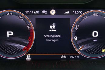 Skoda Fabia 1.0 TSI 116 Monte Carlo Edition 5dr DSG