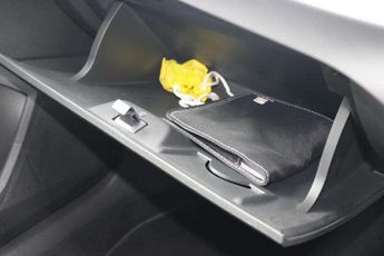 SEAT Ibiza 1.0 TSI 110 Xcellence 5dr DSG