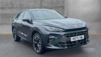 Cupra Terramar 2.0 TSI 265 VZ2 5dr DSG 4Drive