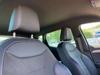 SEAT Ibiza 1.0 TSI 110 Xcellence Lux 5dr DSG