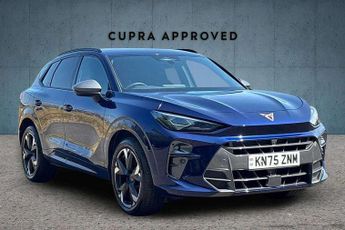 Cupra Terramar 1.5 eTSI 150 V2 5dr DSG