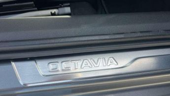 Skoda Octavia 1.5 TSI 150 e-TEC SE L 5dr DSG