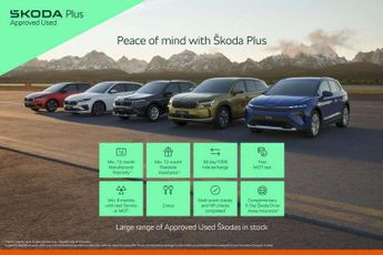 Skoda Kodiaq 2.0 TDI SE L Executive 4x4 5dr DSG [7 Seat]
