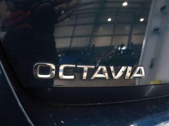 Skoda Octavia 2.0 TDI 150 SE L 5dr DSG