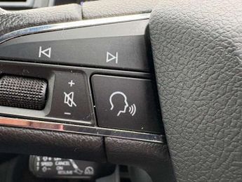 SEAT Ibiza 1.0 TSI 115 Xcellence Lux [EZ] 5dr DSG