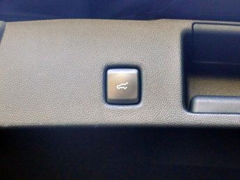 Ford Kuga Kuga ST-Line X Edition PHEV CVT