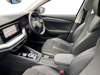 SKODA OCTAVIA 2.0 Tdi Se L Hatchback 5Dr Diesel Dsg Euro 6 (S/S) (116 Ps)