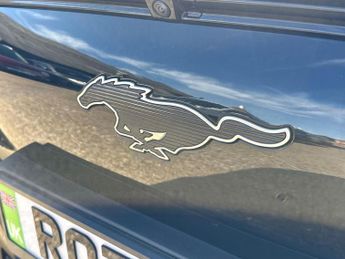 FORD MUSTANG MACH-E Extended Range 91Kwh Suv 5Dr Electric Automatic Awd (351 Ps)