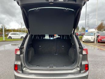 FORD KUGA 1.5 Ecoblue St-Line First Edition Suv 5Dr Diesel Auto Euro 6 (S/