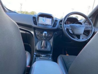 FORD KUGA 1.5 Tdci St-Line Suv 5Dr Diesel Powershift Euro 6 (S/S) (120 Ps)