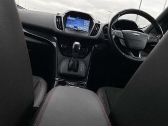 FORD KUGA 2.0 Tdci St-Line Suv 5Dr Diesel Powershift Awd Euro 6 (S/S) (180