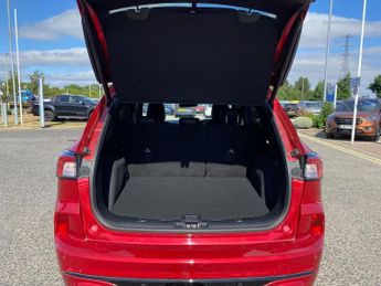 FORD KUGA 1.5 Ecoblue St-Line X Edition Suv 5Dr Diesel Auto Euro 6 (S/S) (