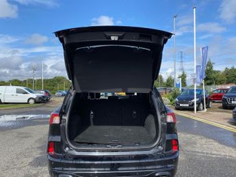 FORD KUGA 2.5H Duratec St-Line X Edition Suv 5Dr Petrol Hybrid Cvt Euro 6 