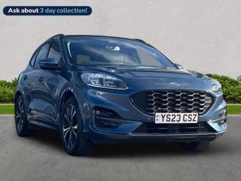 Ford Kuga 2.5H Duratec St-Line X Edition Suv 5Dr Petrol Hybrid Cvt Euro 6 