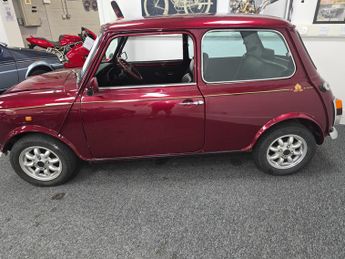 Rover Mini Thirty, Special Edition