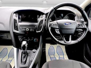 Ford Focus 1.5 TDCi Zetec Edition Powershift Euro 6 (s/s) 5dr