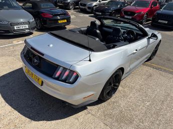 Ford Mustang 2.3T EcoBoost Convertible 2dr Petrol SelShift Euro 6 (317 ps)