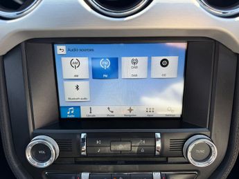 Ford Mustang 2.3T EcoBoost Convertible 2dr Petrol SelShift Euro 6 (317 ps)
