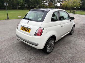 Fiat 500 1.2 8V Cult Hatchback 3dr Petrol Manual Euro 6 (s/s) (69 bhp)