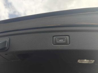 Audi A5 Sportback Black Edition 40 TDI quattro 204 PS S tronic