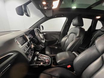 Audi Q5 S line Plus Special Edition 2.0 TDI quattro 190 PS S tronic