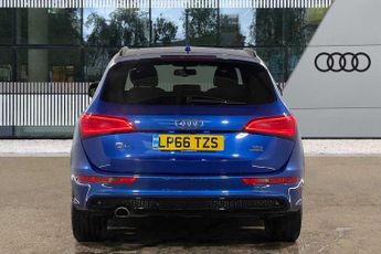 Audi Q5 S line Plus Special Edition 2.0 TDI quattro 190 PS S tronic