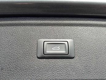 Audi Q5 Sport 45 TFSI quattro 245 PS S tronic