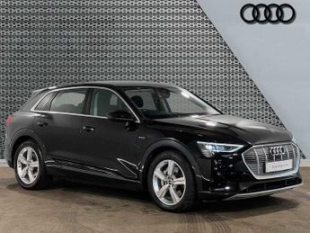 Audi e-tron Technik 55 quattro 300,00 kW