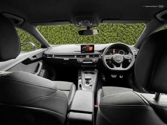 Audi A5 Sportback Black Edition 45 TFSI quattro 245 PS S tronic