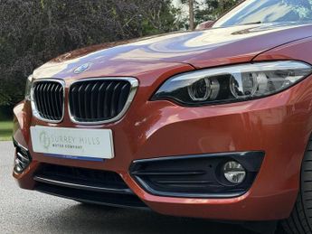 BMW 2 Series 2.0 218i Sport Coupe 2dr Petrol Auto Euro 6 (s/s) (136 ps)