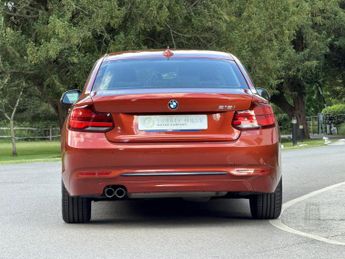 BMW 2 Series 2.0 218i Sport Coupe 2dr Petrol Auto Euro 6 (s/s) (136 ps)