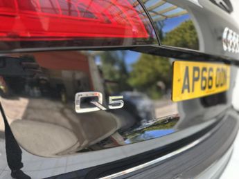 Audi Q5 2.0 TDI S line Plus SUV 5dr Diesel S Tronic quattro Euro 6 (s/s)
