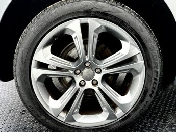 Audi Q5 2.0 TDI S line Plus SUV 5dr Diesel S Tronic quattro Euro 5 (s/s)