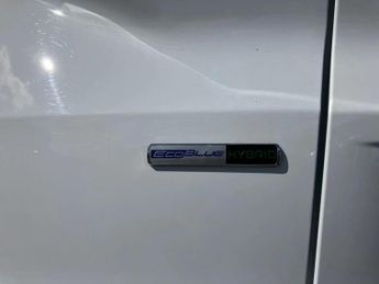 Ford Kuga 2.0 EcoBlue mHEV Titanium Edition 5dr