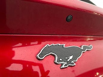 Ford Mustang Mach-E 258kW Extended Range 91kWh AWD 5dr Auto