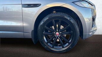 Jaguar F-PACE Chequered Flag