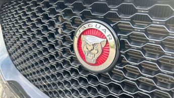 Jaguar F-PACE Chequered Flag