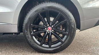 Jaguar F-PACE Chequered Flag