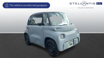  Quad/ATV Electric Automatic (8 bhp)