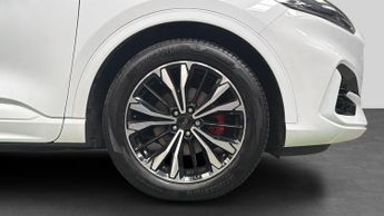 Ford Kuga 2.5h Duratec ST-Line X Edition SUV 5dr Petrol Hybrid CVT Euro 6 