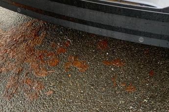 FORD CAPRI  Premium 5 Door 77kWh Extended Range RWD 1 Speed Automatic