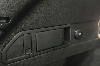 FORD FOCUS  ST-Line Estate 1.0L EcoBoost 155PS mHEV FWD 7 Speed PowerShift